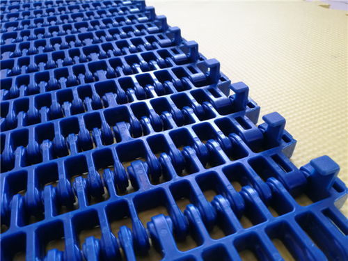 登封耐強酸塑料網帶價格規(guī)格齊全 錦源工業(yè)