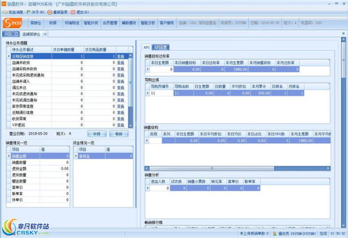 麗晶軟件SPOS終端銷售界面預覽 高效便捷的零售管理體驗